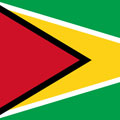 Guyana Flag