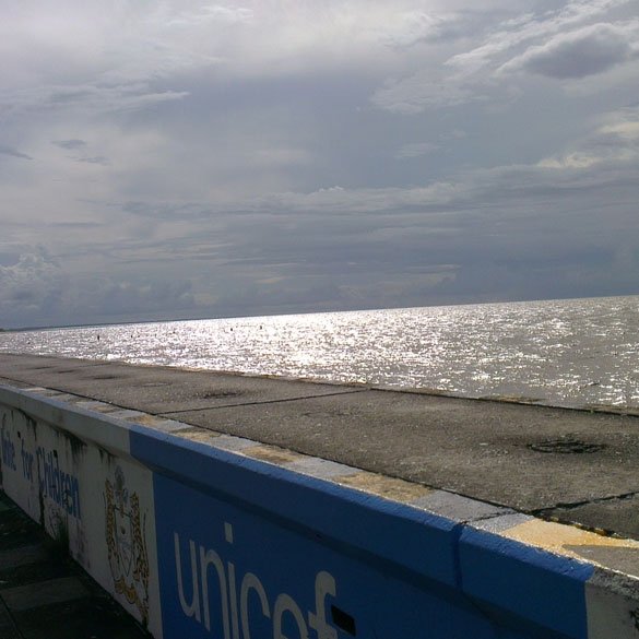 Sea wall Guyana